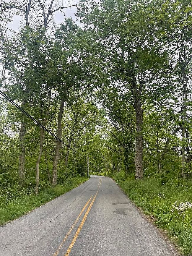 Image of 21435 Black Rock Rd