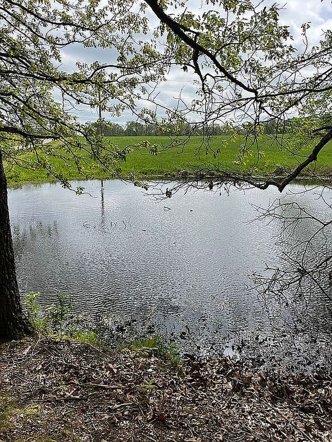 Image of 0 County Road 8200