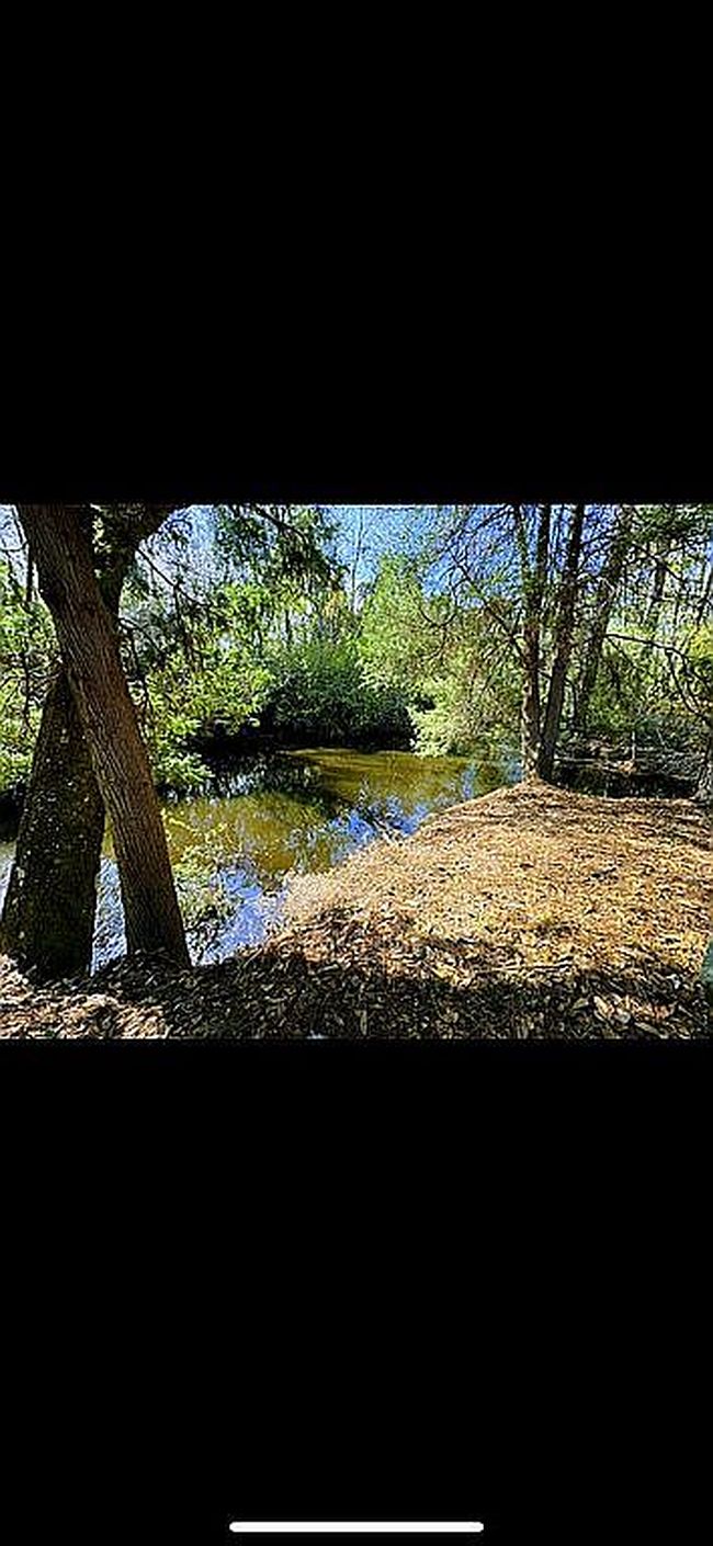 Image of 10946 Canal Dr