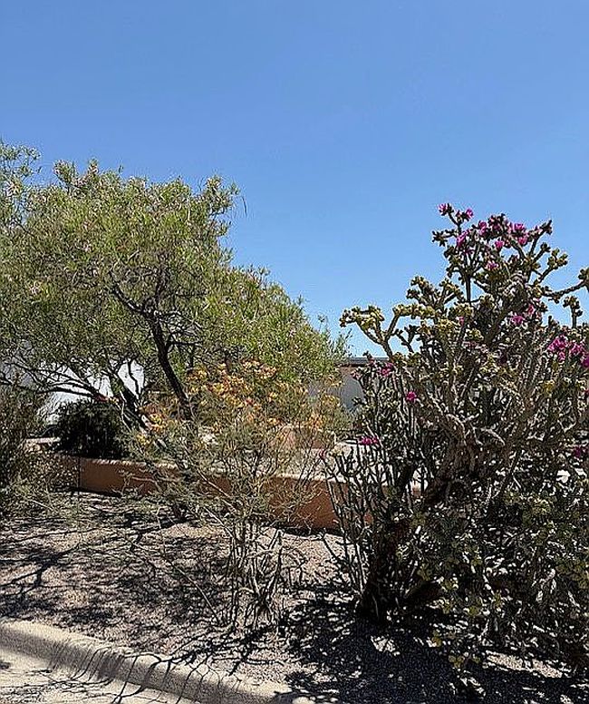 Photo of 919 Poplar St, Truth Or Consequences, NM