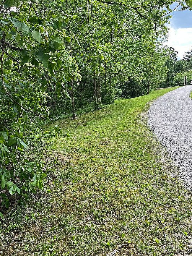 Image of 2255 S Tree Tower Rd