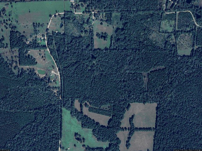 278 Rolling Pines Dr, Livingston, TX