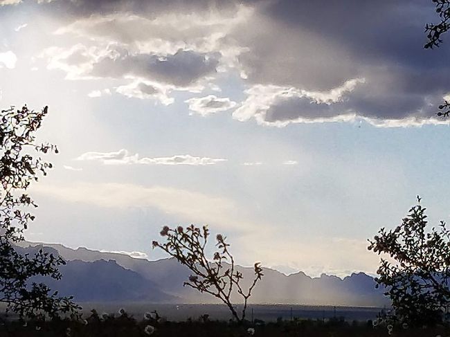 Additional photo 3 of property located at 4233 W Mayan Dr