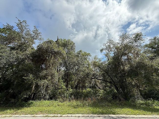 Photo of 1957 S Farm Rd, Deland, FL