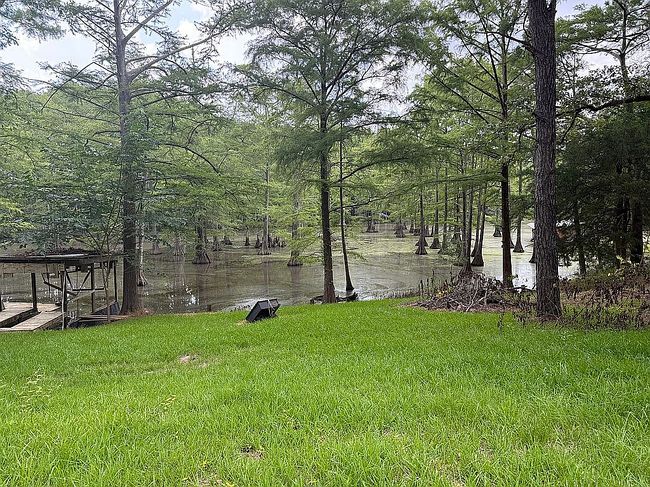 Photo of 8152 S Lakeshore Dr, Shreveport, LA