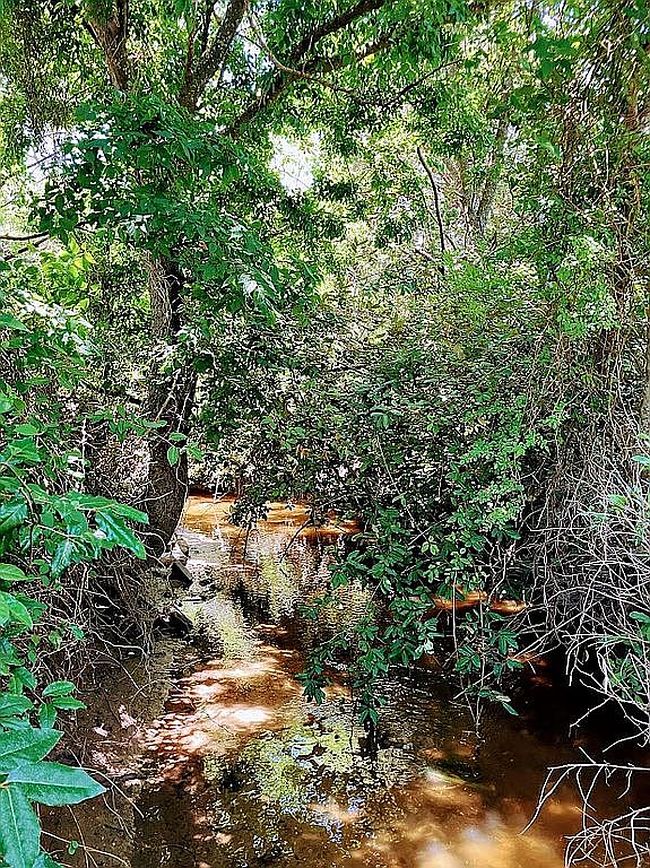 Image of 18 Constant Rd