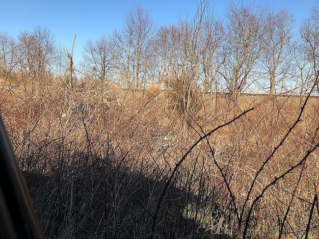 Image of 2207 Bohon Rd