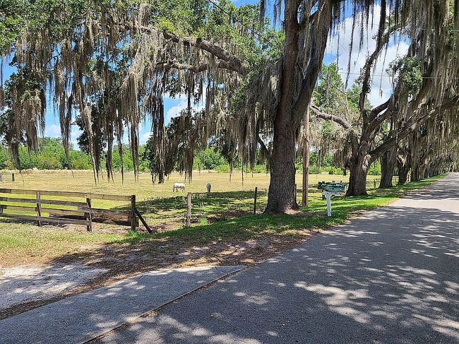 Photo of 110 Burke Dr, Sebring, FL