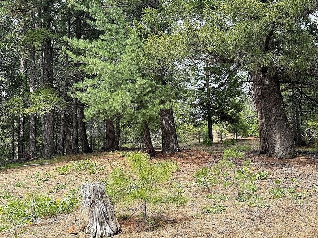 Image of 5730 State Highway 147