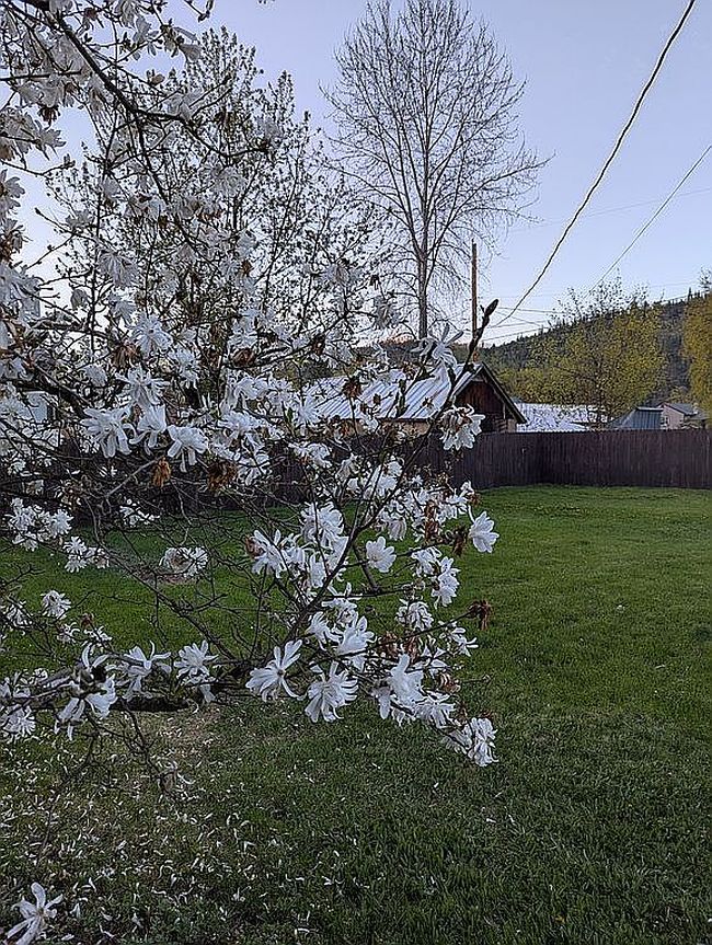 Photo of 119 E Spokane Ave, Troy, MT
