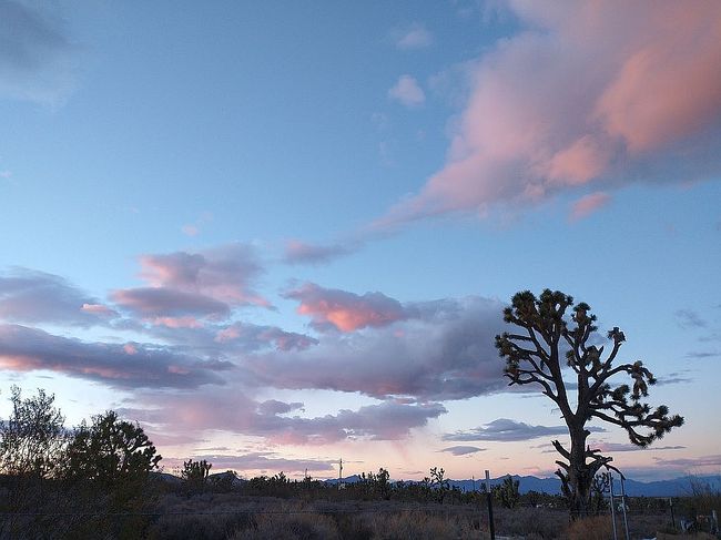 Photo of 26805 N Palo Christi Rd, Meadview, AZ