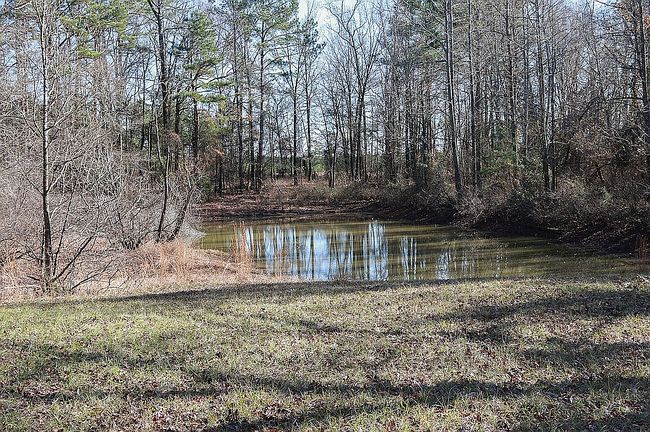 Additional photo 4 of property located at 620 Jt Reed Rd