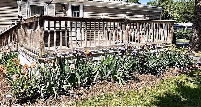Image of 23326 Lawrence Ln