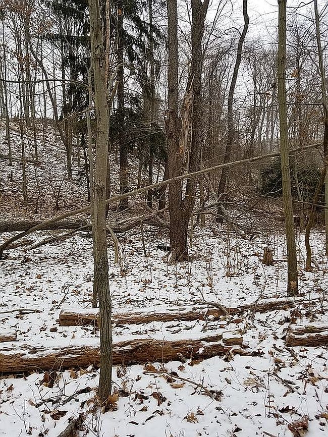 Image of 3011 Wexford Rd