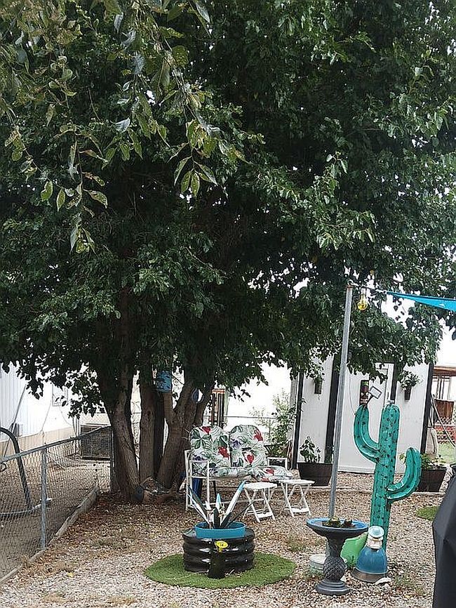 Additional photo 2 of property located at 5000 Red Creek Springs Rd Lot 73