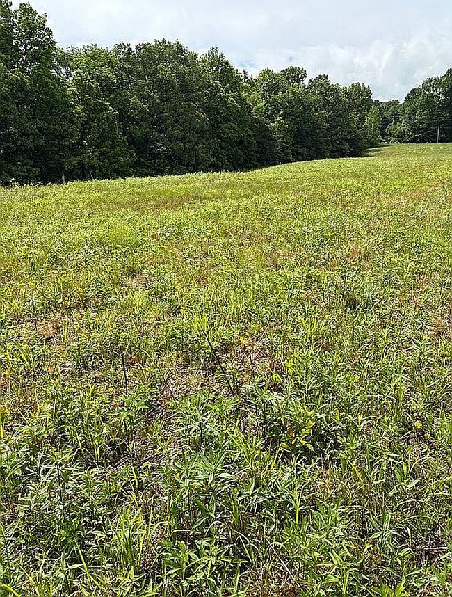 Image of 70 Clark Rd