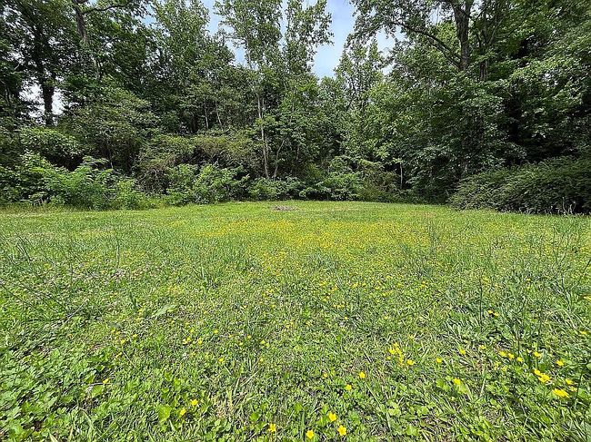 Photo of 0 N Parker Rd, Greenville, SC