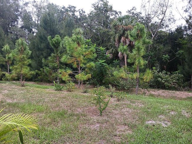 Image of 2072 Casita Dr