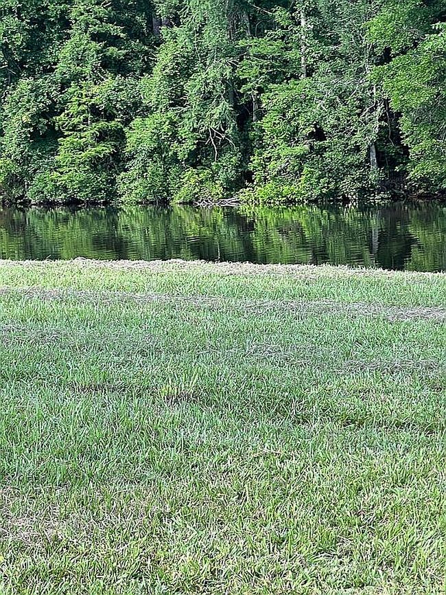 Photo of 166 Kokomo Ln, Bush, LA