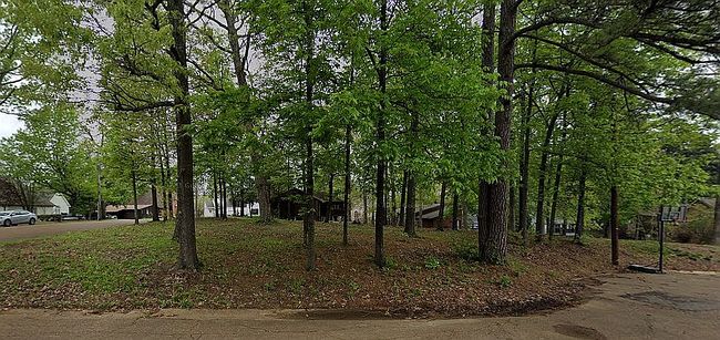 Photo of 0 White Cedar Cv, Lakeland, TN