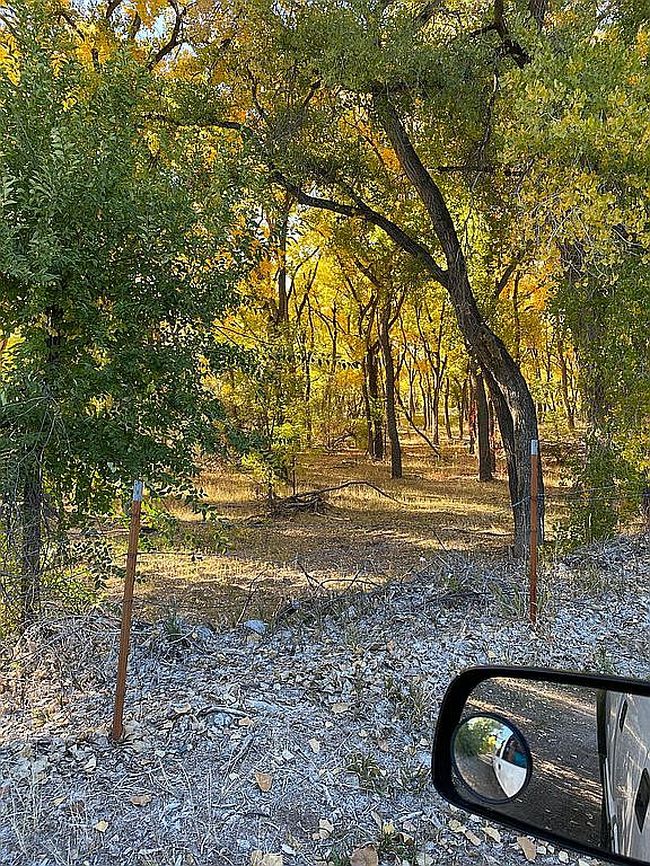Image of 84 County Road 544