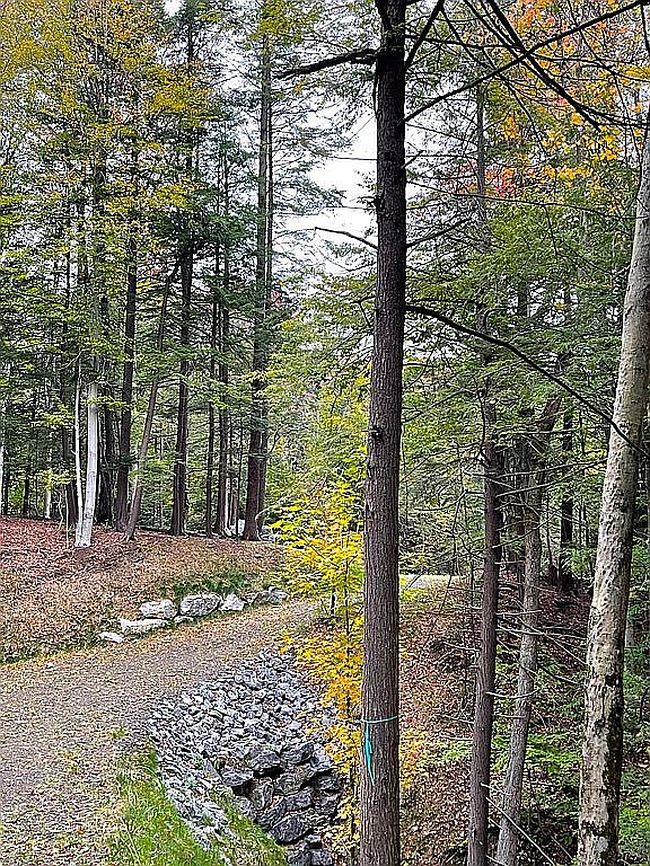 Image of 6519 Rice Rd