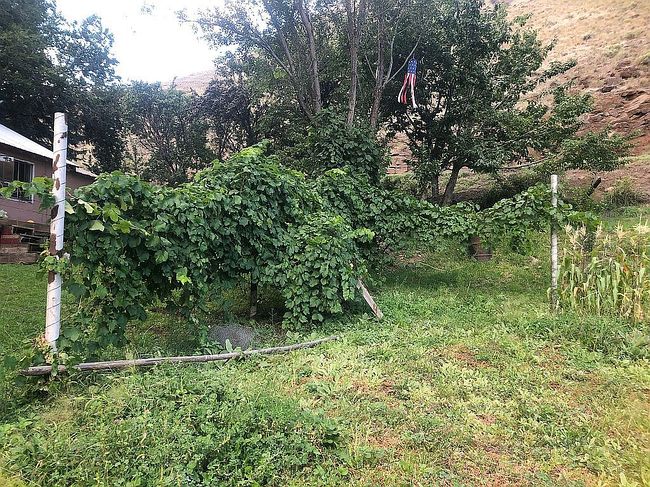 Image of 367 Seven Devils Rd