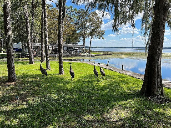 Photo of 10050 Highway 40 E Lot 12, Inglis, FL