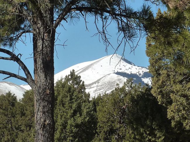 Image of 205 Timberline Pl