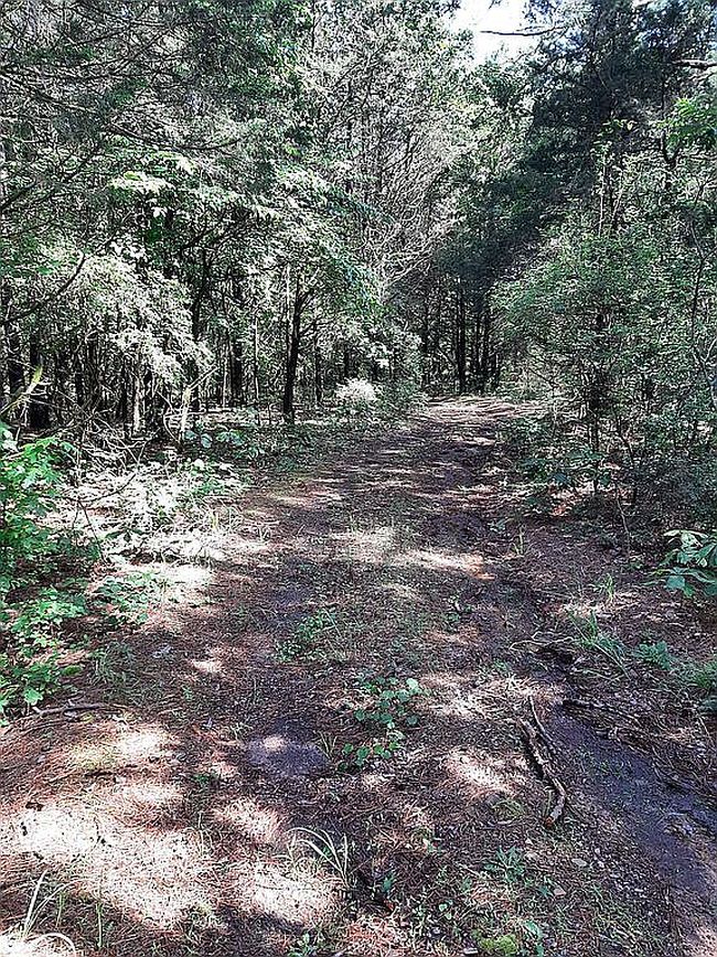 Image of 1328 Scrogins Creek Rd