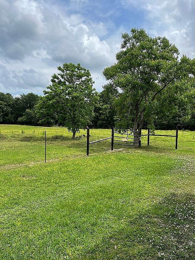 Photo of 1705 9th St, Ville Platte, LA