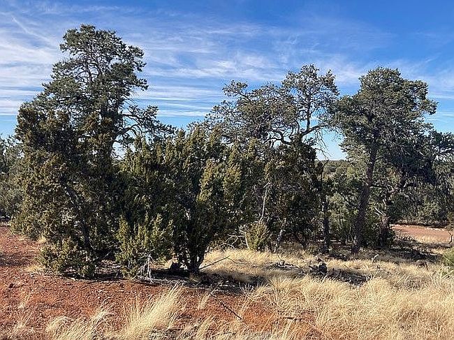 Image of 91 Ranch Rd #78-8145