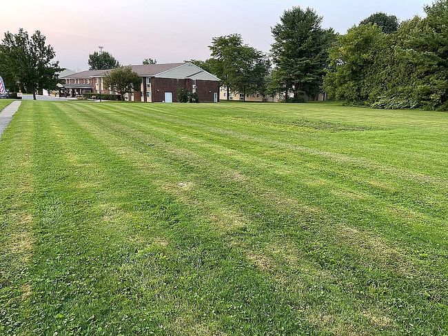 Image of Lamb Ave