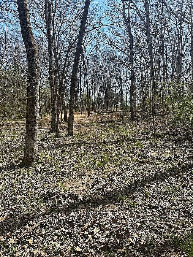Image of Lot 8 Marks Crossing Ln