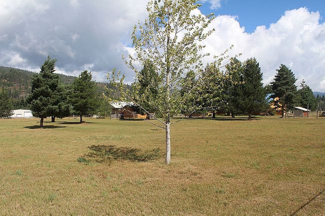 Photo of 332 Doe Rd, Naples, ID