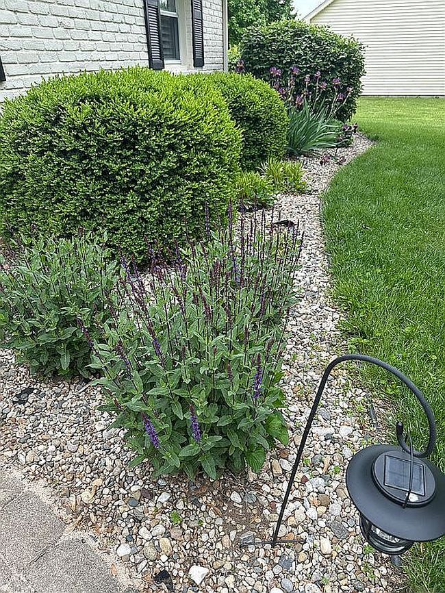 Photo of 50 E Rodighiero Ave, Terre Haute, IN