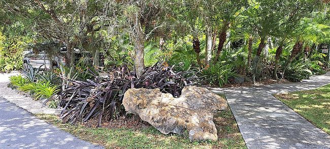 Photo of 182 Nw 16th St, Homestead, FL