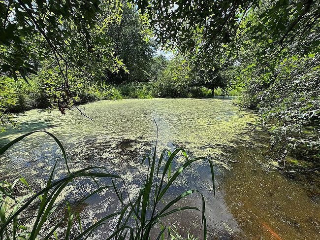 Photo of 23447 E 1200th Rd, Pleasanton, KS
