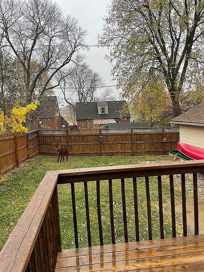 Image of 4604 Waveland Ct