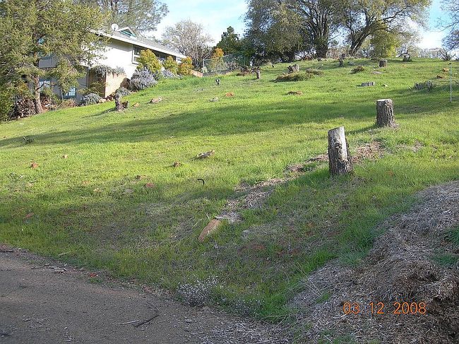 Image of 4965 Beckwourth Ct