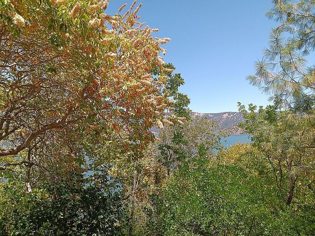 Photo of 3076 Riviera Heights Dr, Kelseyville, CA