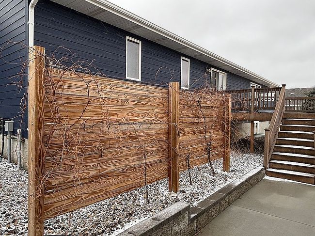 Image of 203 N Chapman Dr