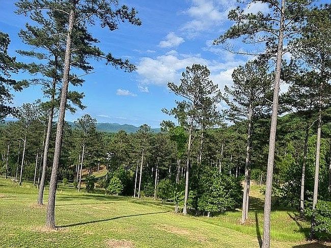Photo of Loop Ln, Blairsville, GA