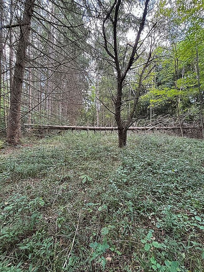Photo of 5545 S Lebanon Rd, Earlville, NY