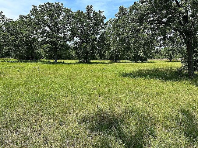 Photo of 15303 Autumn Oaks Ln, Iola, TX