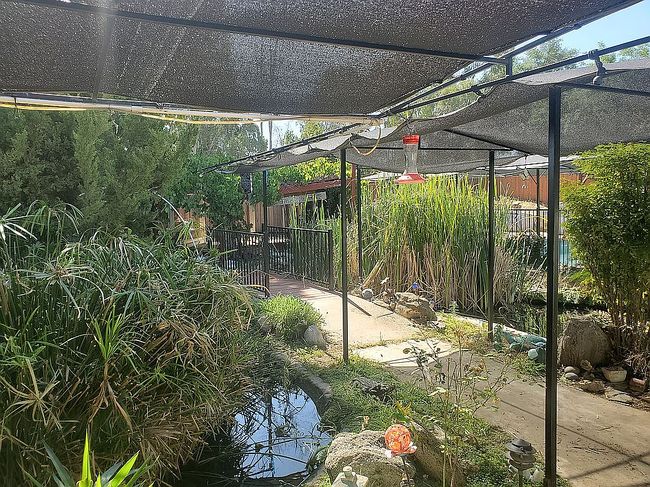 Photo of 8454 N Chamise Ave, Clovis, CA