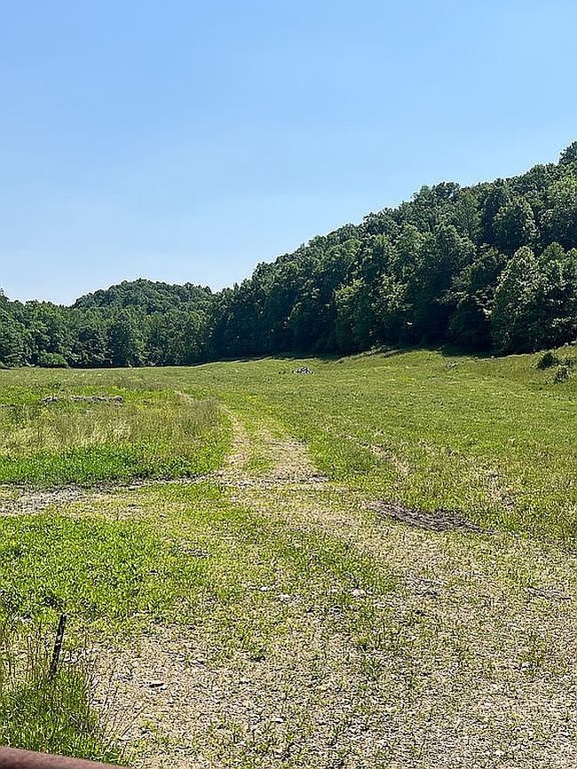 Image of 1693 Stoner Creek Rd