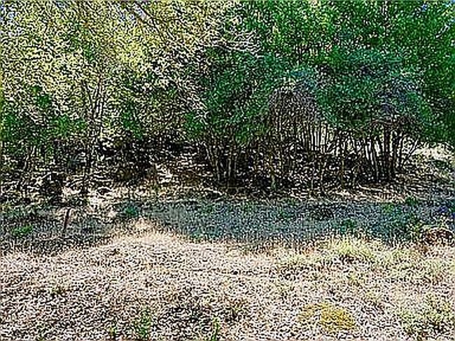 Additional photo 3 of property located at 5327 Monterey Pl