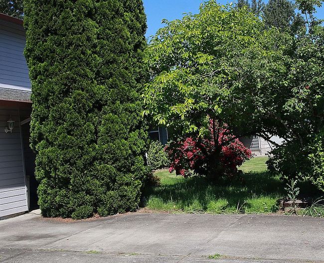 Photo of 12205 Se Mountain Sun Dr, Clackamas, OR