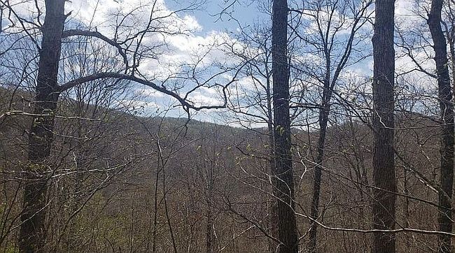 Image of 0 Mud Fork Rd
